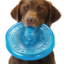Load image into Gallery viewer, Pet Flying Saucer - Outdoor Makeshift Pet Bowl