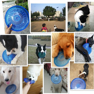 Pet Flying Saucer - Outdoor Makeshift Pet Bowl