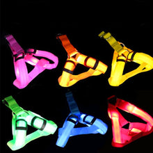 Load image into Gallery viewer, Pet Safety LED Harness