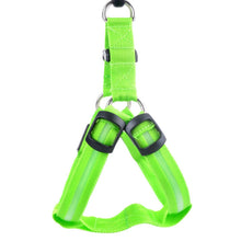Load image into Gallery viewer, Pet Safety LED Harness